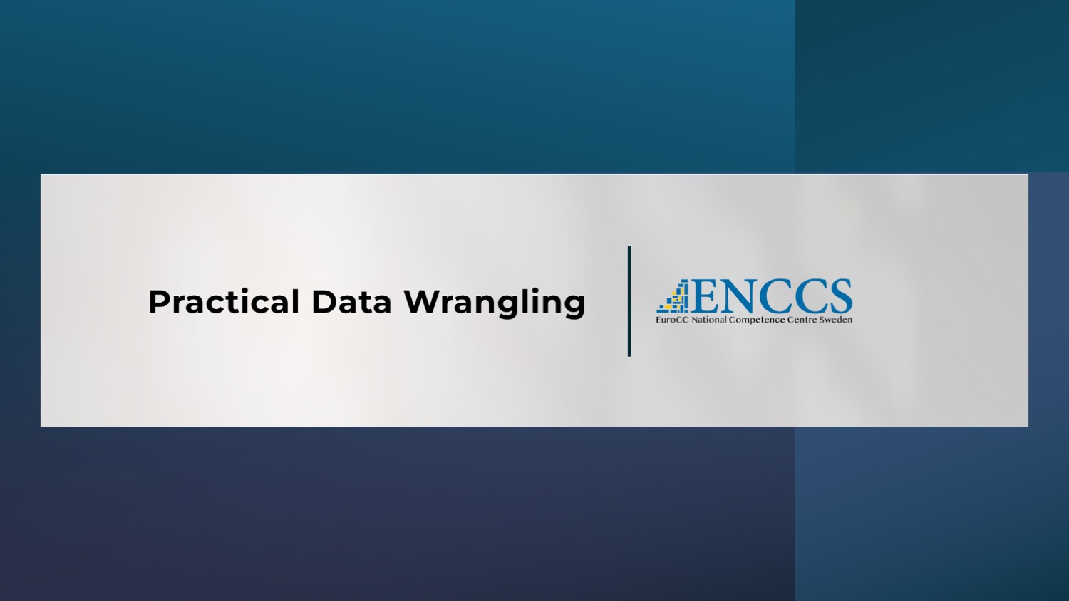 Practical Data Wrangling